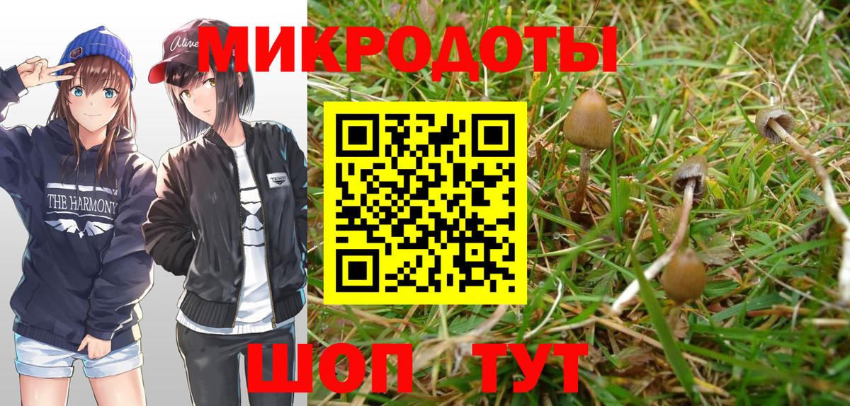 Псилоцибиновые грибы Psilocybine cubensis  Вход с VPN  Саяногорск 